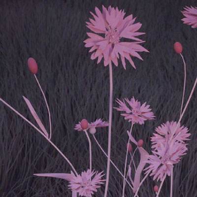 博鱼电竞下载手机版