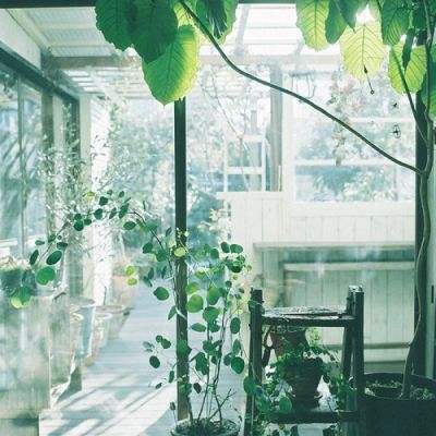 竞彩足球APP官方下载手机app下载