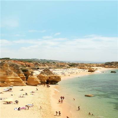 天天中彩票手机app下载