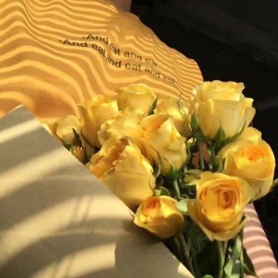 火狐体育APP体育